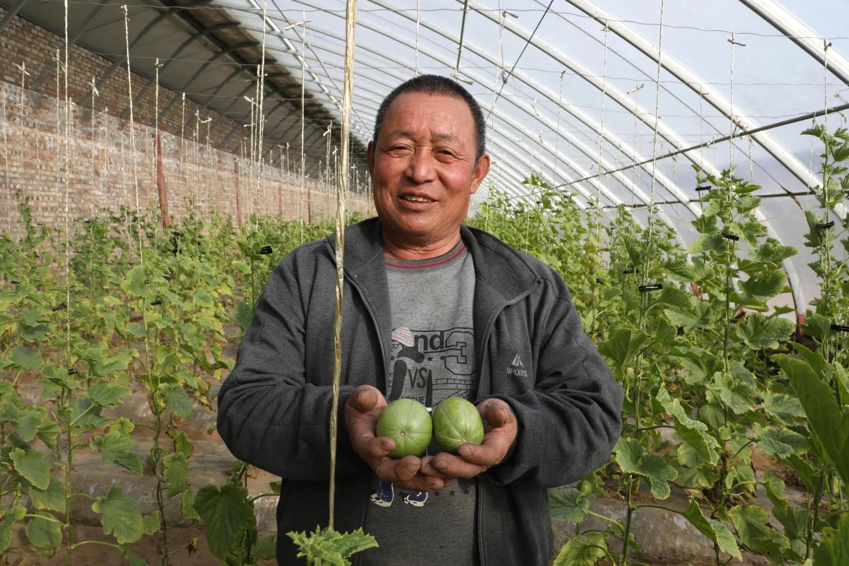 新春走基层 鱼河镇高家洼村：小小芝麻瓜 开辟致富路