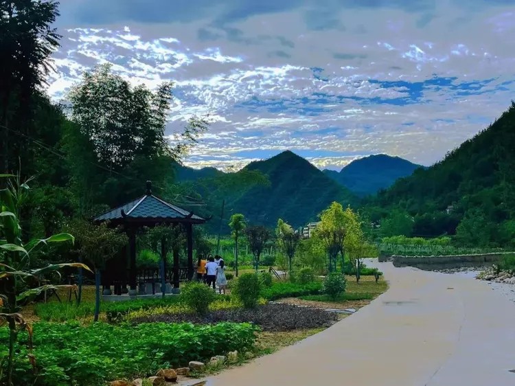 下载.webp (1).jpg