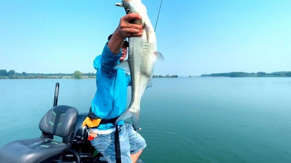 f0636fe0ba6a15954ed444e94b695fc2_640_wx_fmt=jpeg&wxfrom=5&wx_lazy=1&wx_co=1.jpg