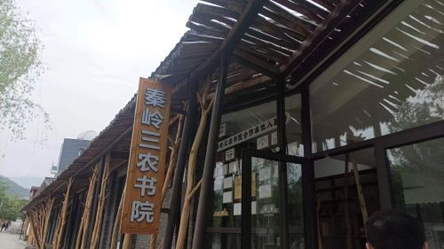 配图3