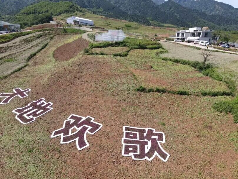 QQ图片20230526195404.jpg