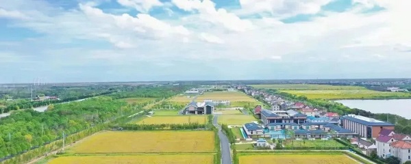 644.jpg