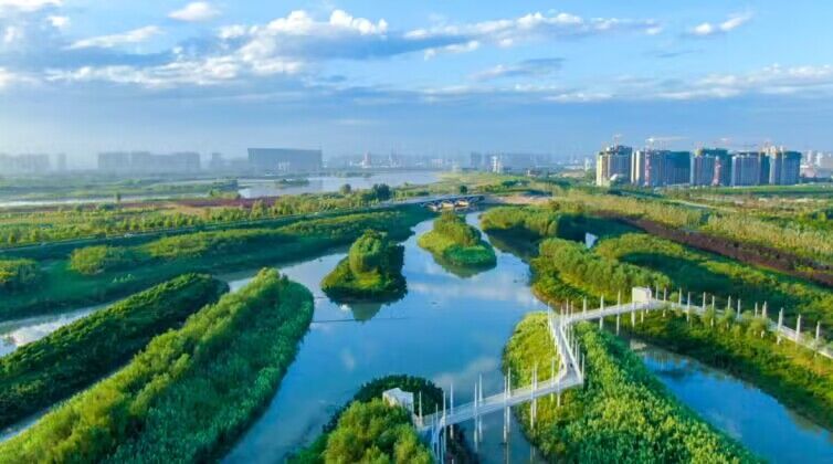 QQ图片20230807205044.jpg