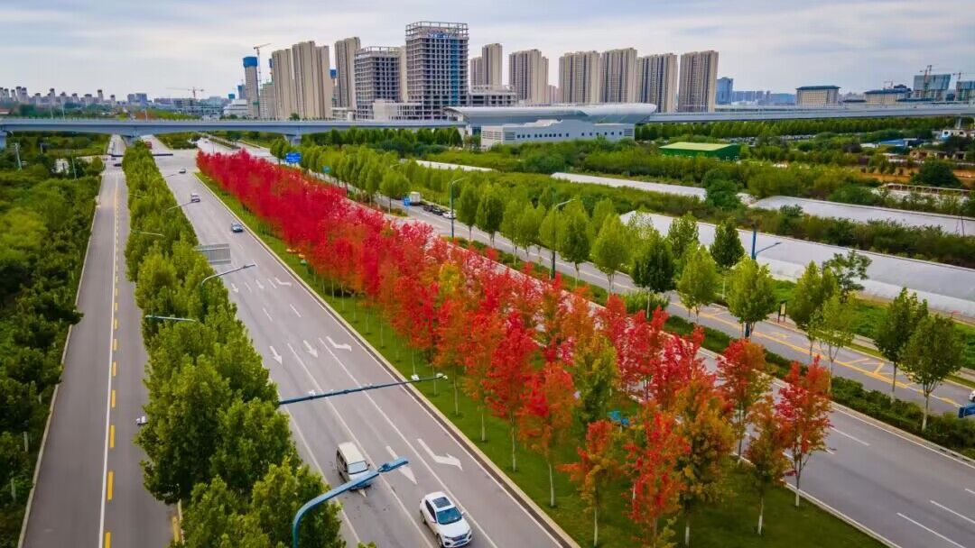 QQ图片20230807205052.jpg