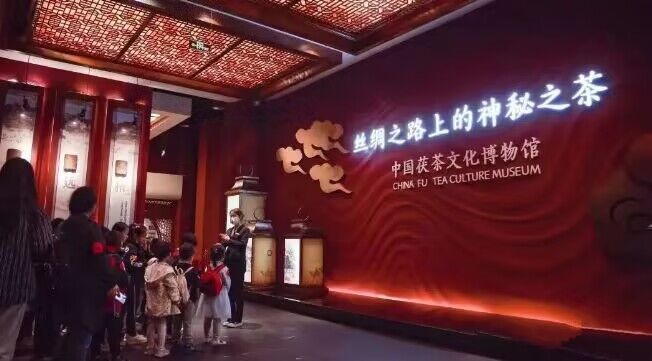 QQ图片20230814210317.jpg