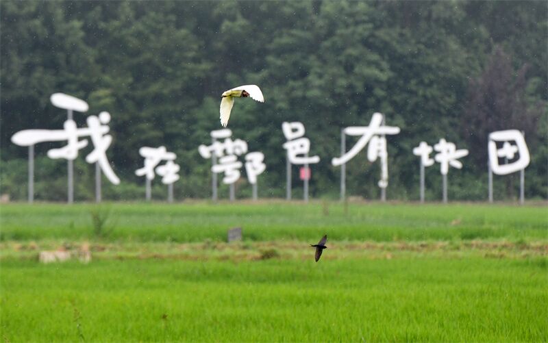 QQ图片20230917165824.jpg