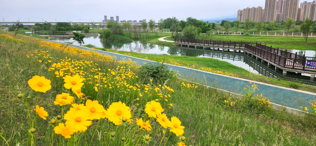3ABE14B9-F97A-40EC-A1B8-8A993A6A82DA.png