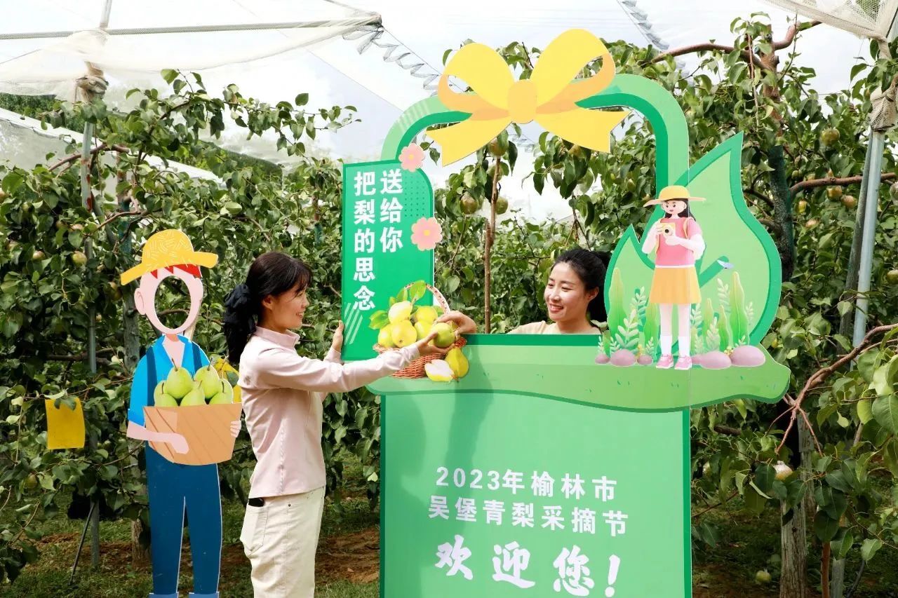 QQ图片20230926212115.jpg