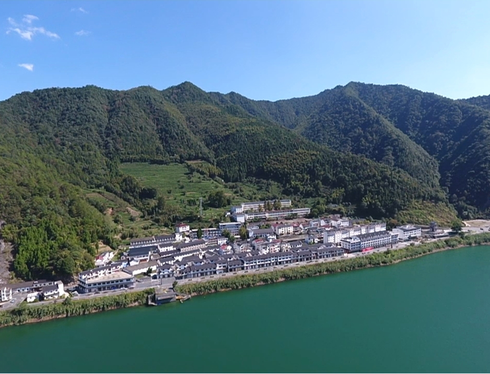 杭州淳安县里阳村森林氧吧。杭州市林水局供图