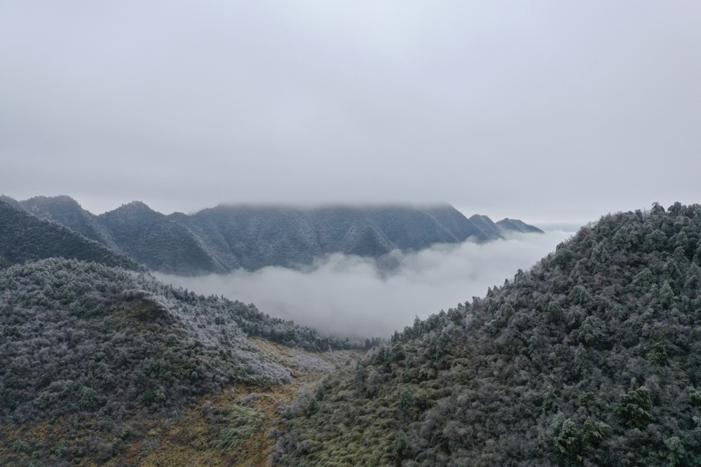 杭州建德市项王山森林氧吧。杭州市林水局供图