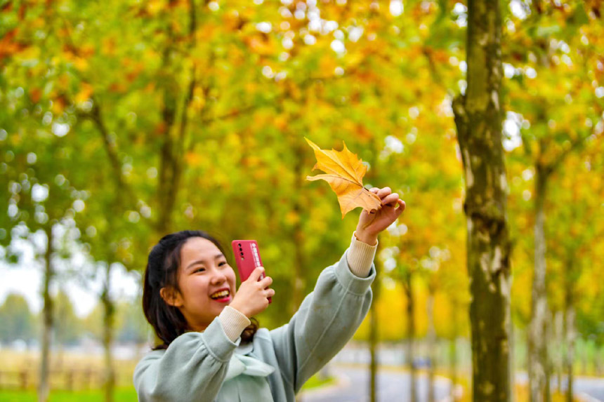 五彩斑斓的景色，吸引了游人前来观赏。崔景印摄