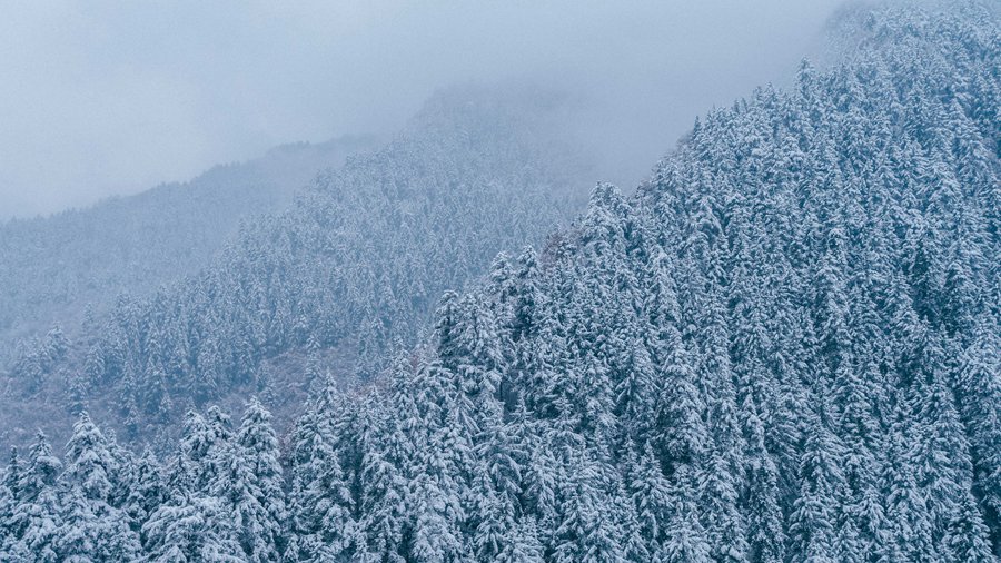 兴隆山雪景。 彭昱摄