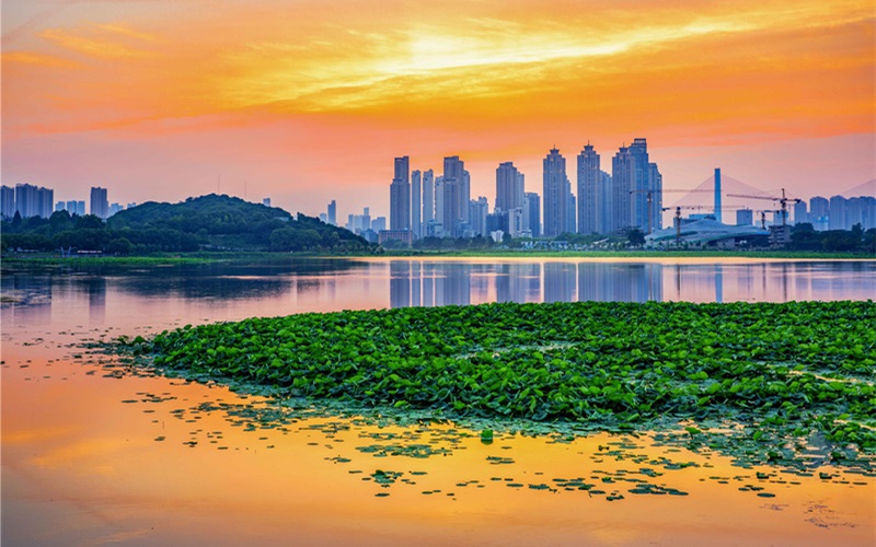 夕阳下的月湖  张烈文摄