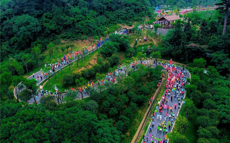 江夏区八分山绿道 陈利安摄