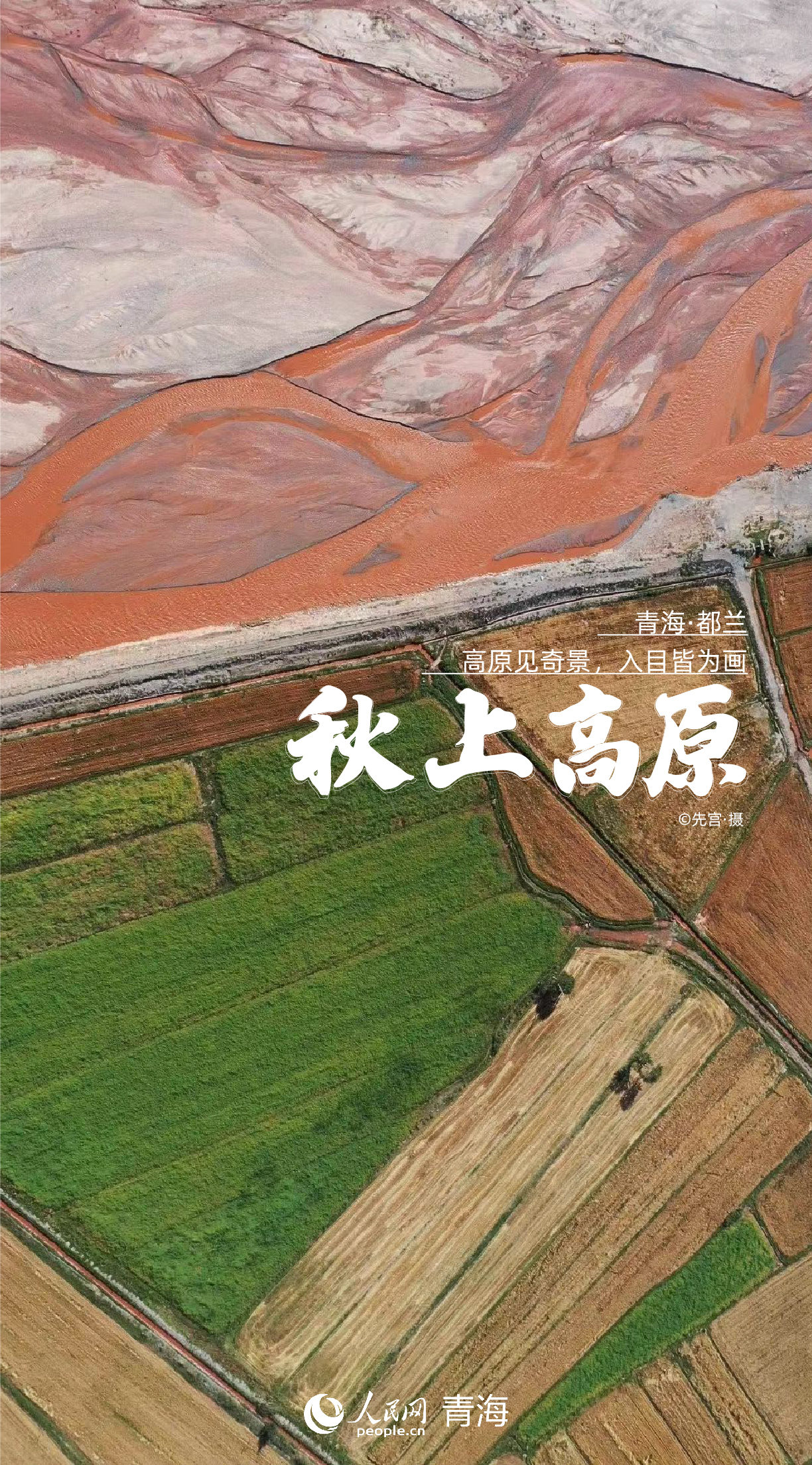 高清海报|青海这份“秋日限定”太美