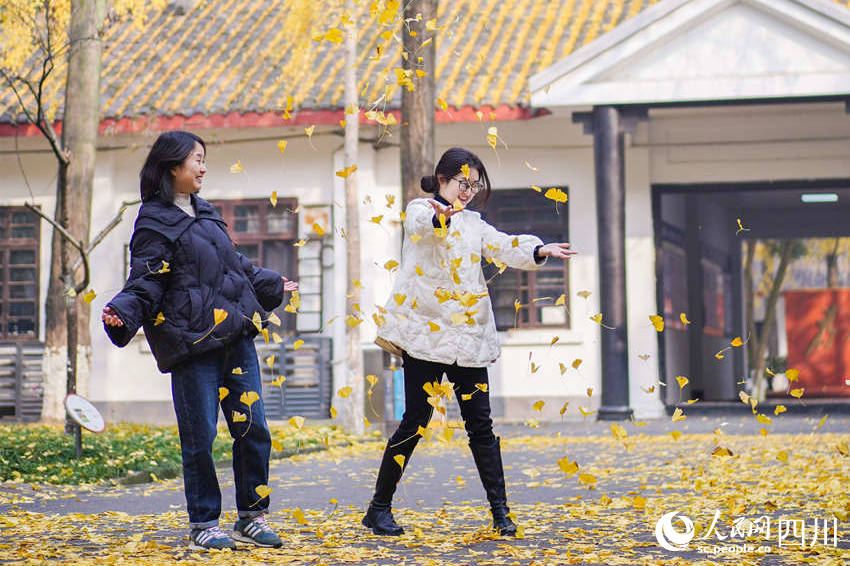 冬日银杏扮靓城市街景。翁光建摄