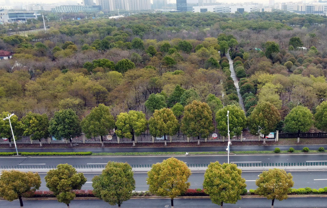 松江新城绿环建设区域内绿树成荫（3月21日摄，无人机照片）。新华社记者 刘颖 摄