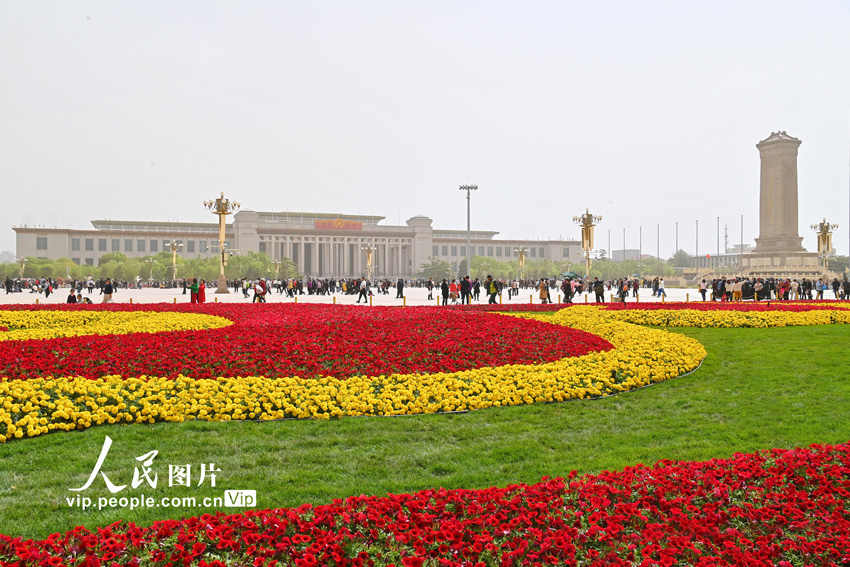 北京天安门广场两侧绿地花卉布置完成迎“五一”【3】