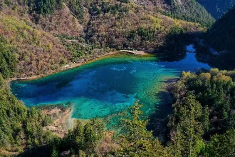 一池碧玉在山间。九寨沟景区供图