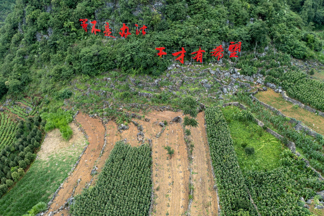 这是无人机视角下木者村“摸石谷”中建成的“三保”台地（无人机照片，7月27日摄）。新华社记者 陈欣波 摄