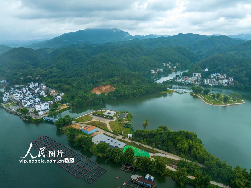 2023年8月5日，俯瞰广西梧州市苍梧县京南镇古榄村，错落有致的民居与青山绿水相映成趣，绘就出一幅美丽乡村、宜家宜居宜游的生态画卷。