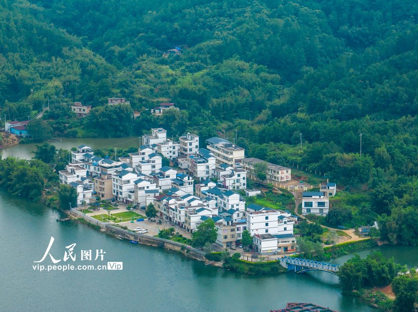 2023年8月5日，俯瞰广西梧州市苍梧县京南镇古榄村，错落有致的民居与青山绿水相映成趣，绘就出一幅美丽乡村、宜家宜居宜游的生态画卷。