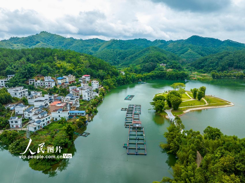 2023年8月5日，俯瞰广西梧州市苍梧县京南镇古榄村，错落有致的民居与青山绿水相映成趣，绘就出一幅美丽乡村、宜家宜居宜游的生态画卷。