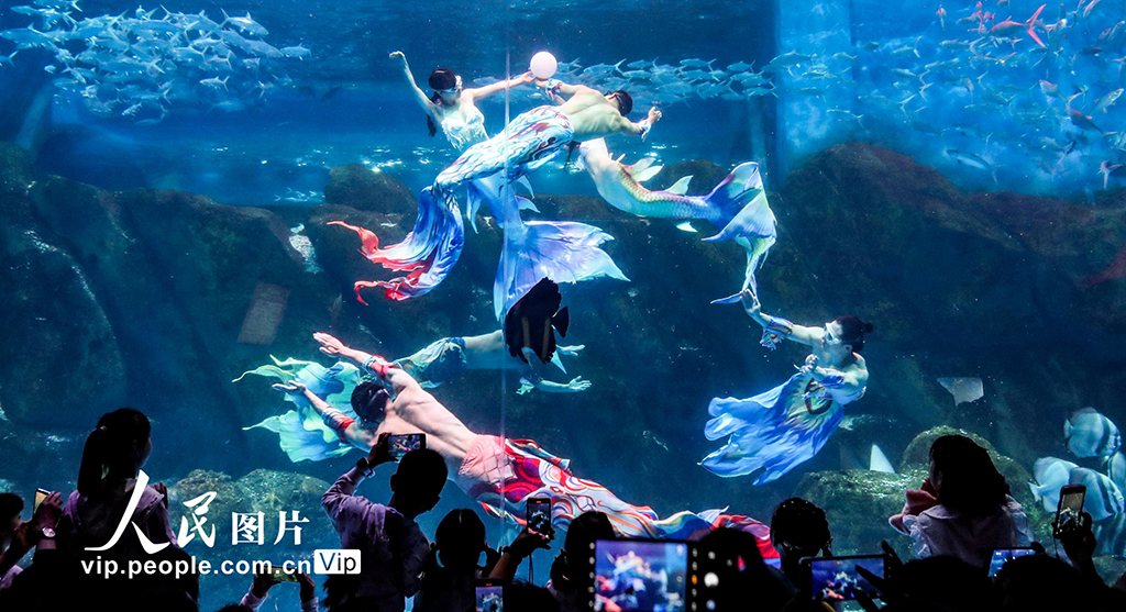 江苏淮安：海洋世界里度假期【2】