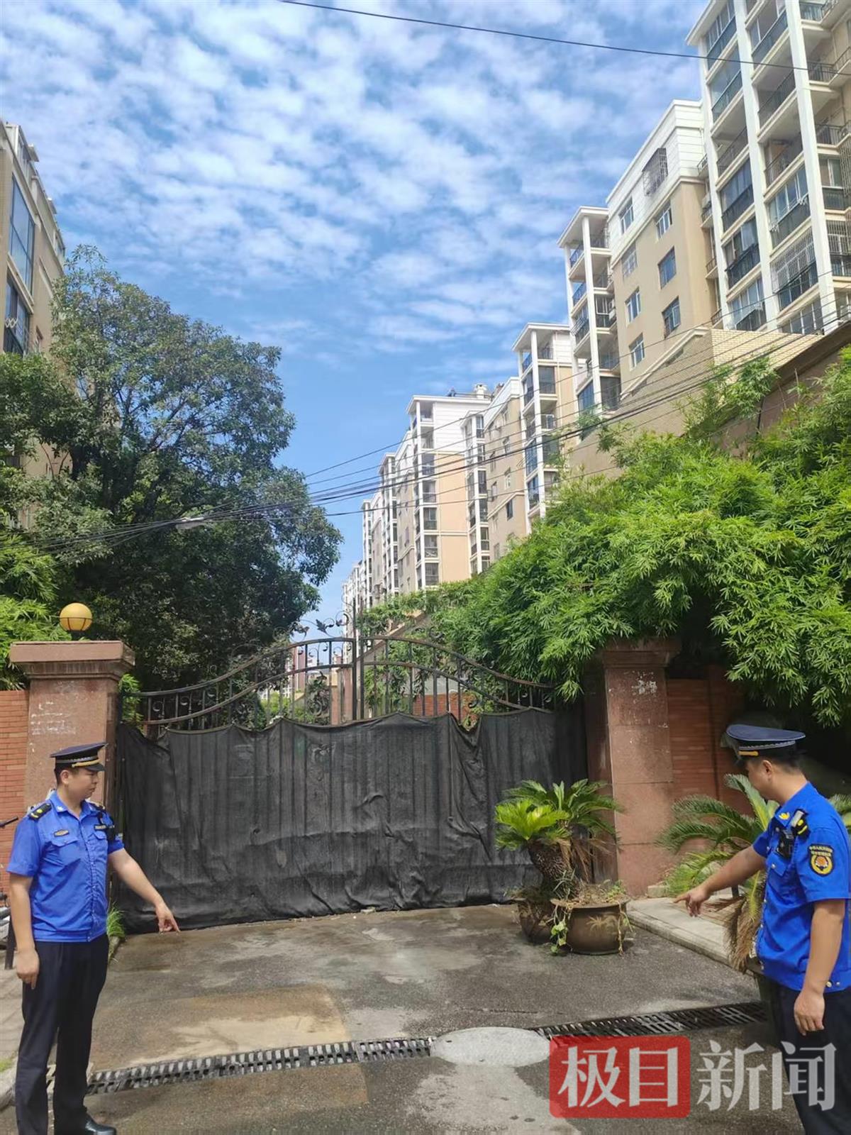 新开的水槽.jpg