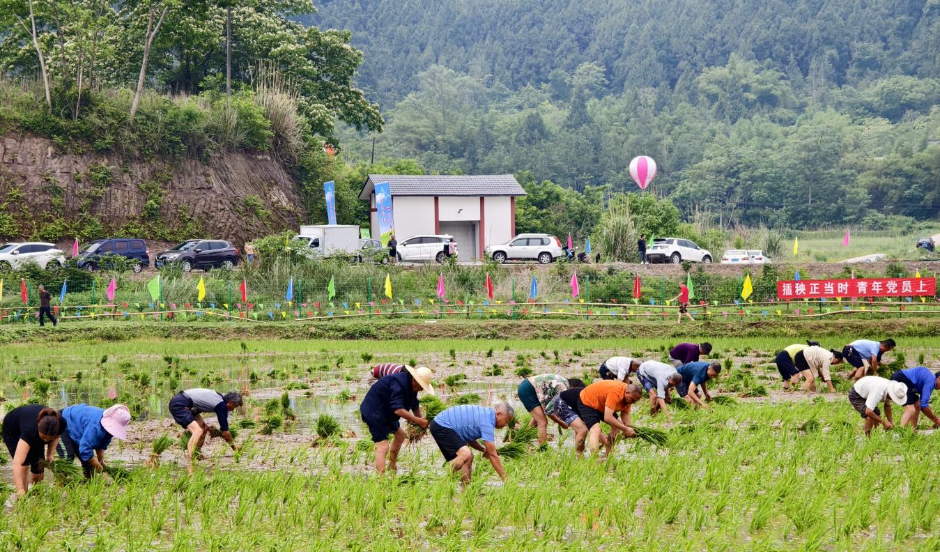 四川省南充市西充县“一乡一节”暨常林镇第一届插秧季火热启动