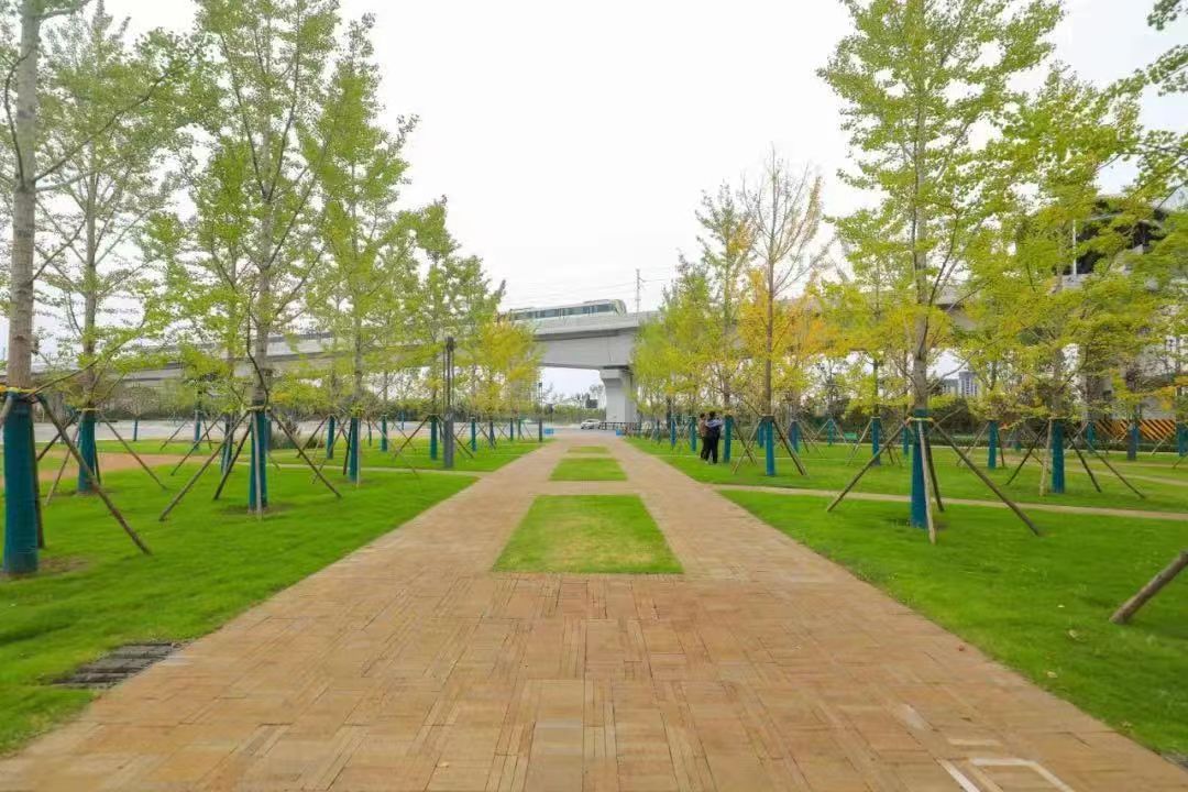 65AF9277-D61D-4F65-8895-E319D39CC2A6.jpeg