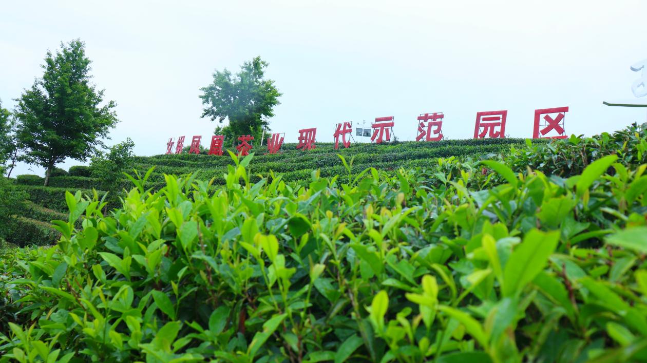 F1A856A3-D9A8-4632-9C45-D5D700015EF1.jpeg