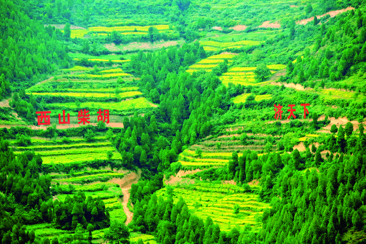 2246BF38-A330-4D02-AB4A-27803F7B9F70.jpeg