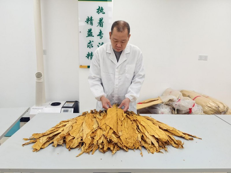 图片20.png