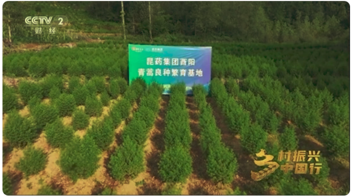 截屏2025-03-31 20.53.57.png