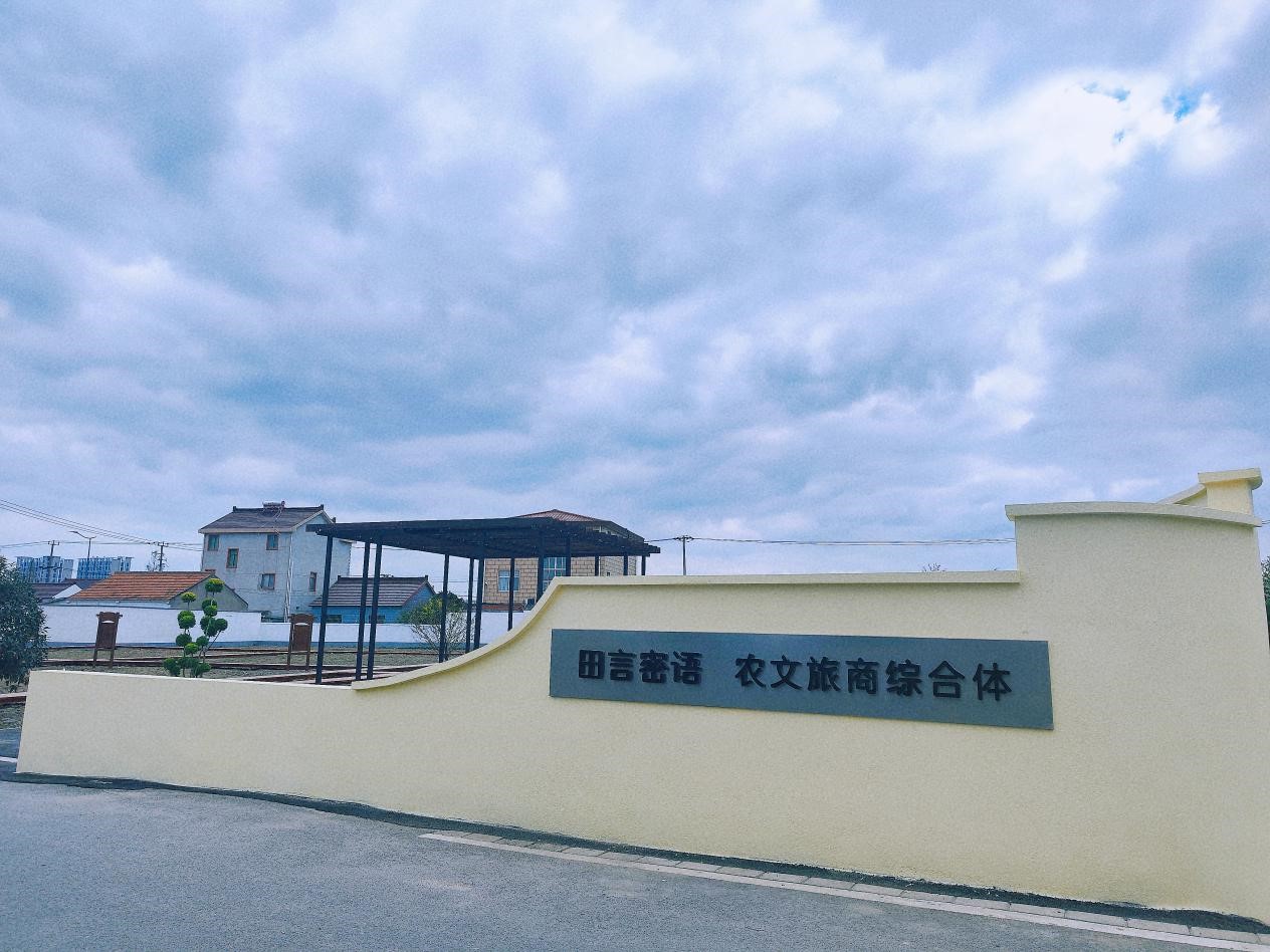 05.jpg