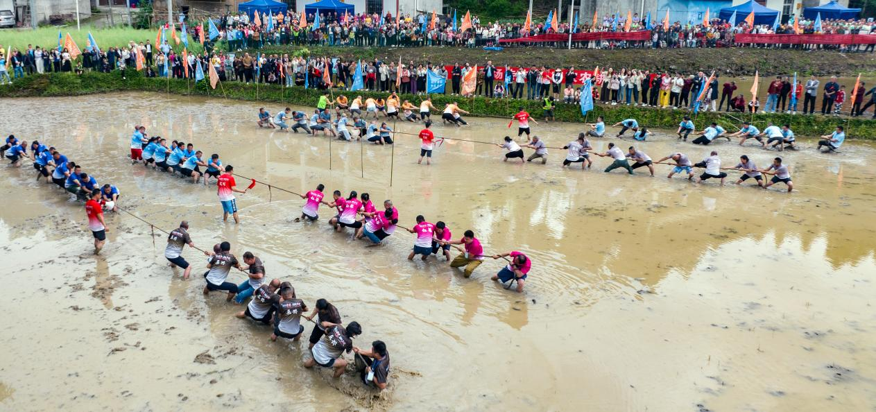 图片58.png