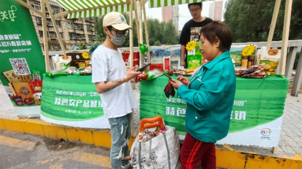 看“直隶田园”的标准化突围战 探秘保定农业品牌如何以“严选”重塑产业生态