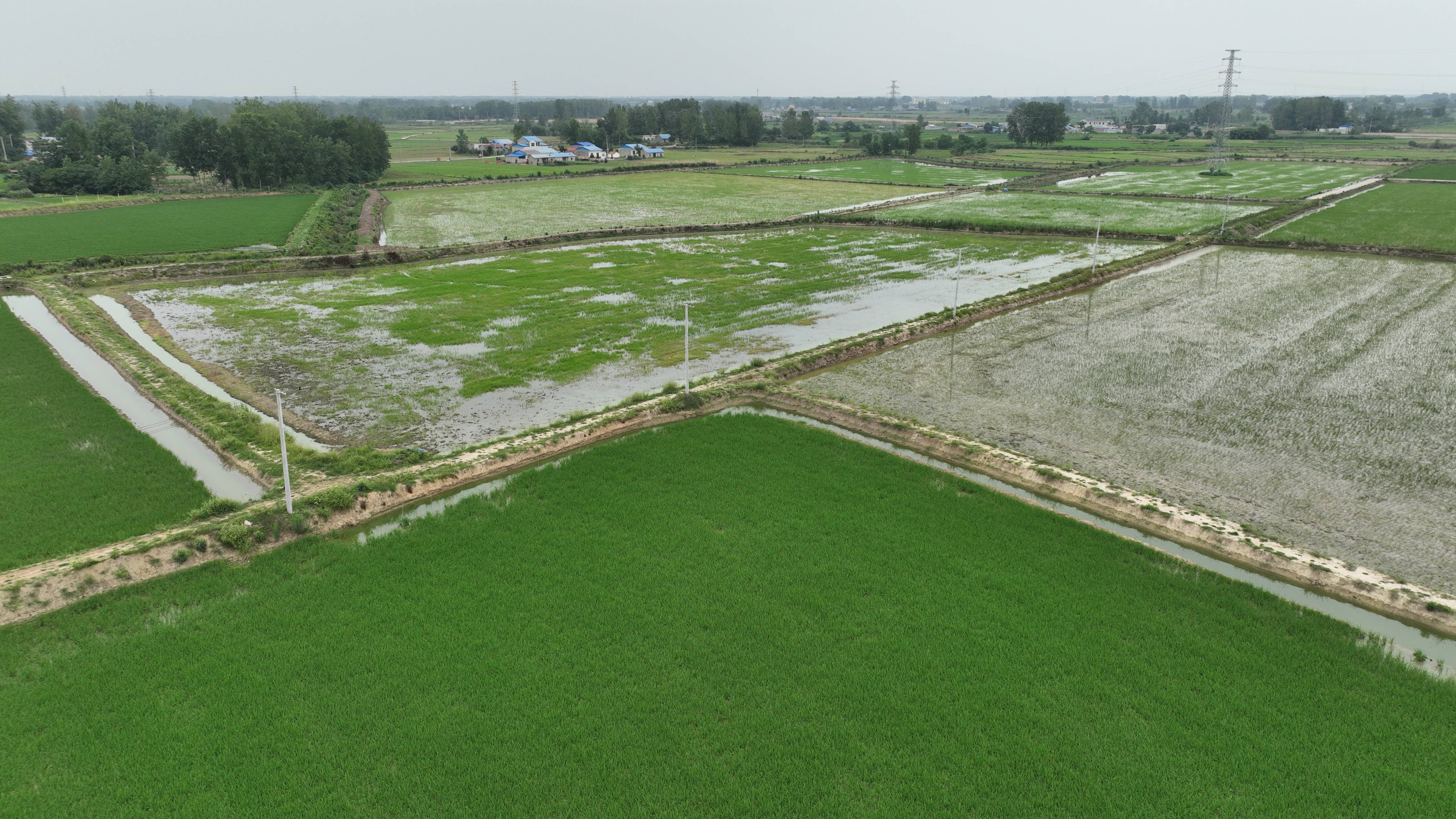 DJI_0001(1).jpg