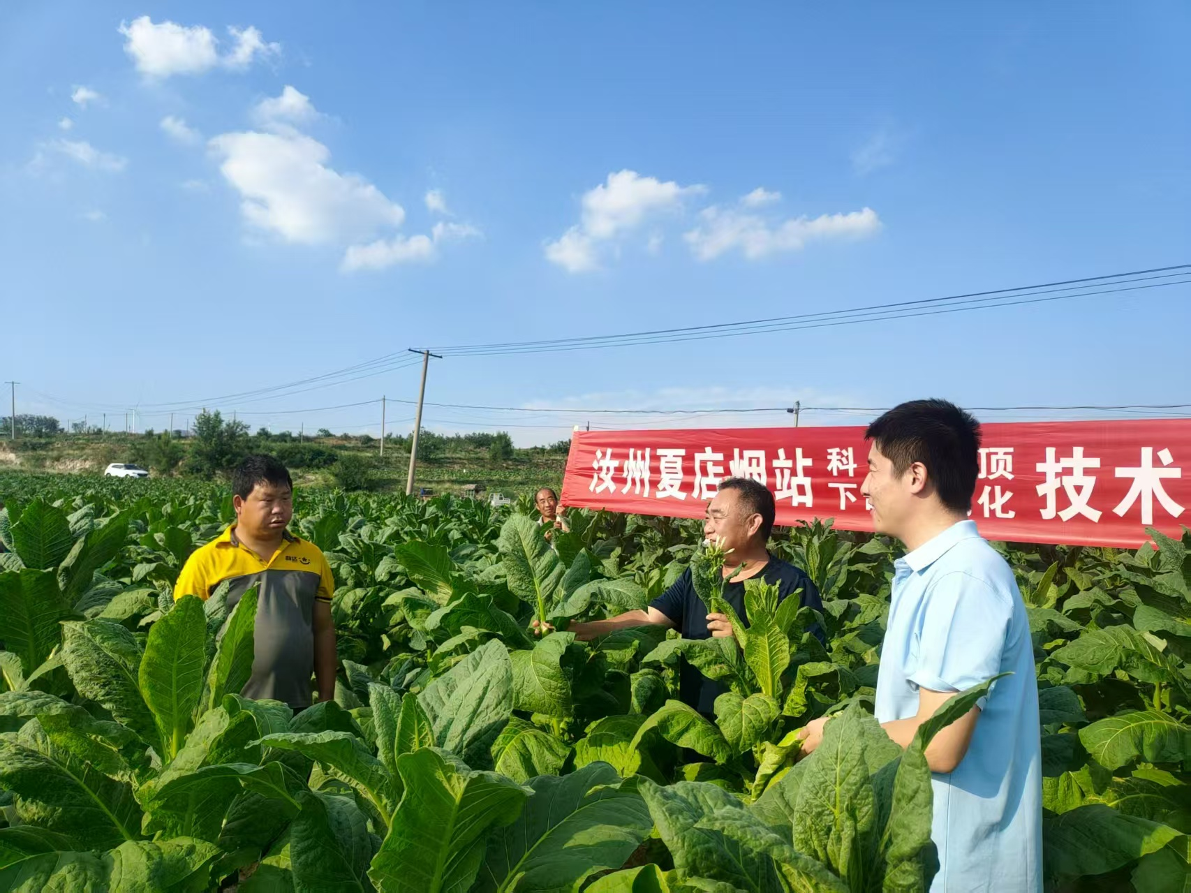 图片119.png