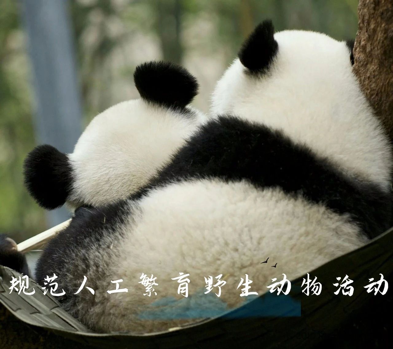 ce5d2d7ecb2ee1ceb221efe76b2f2224.jpg