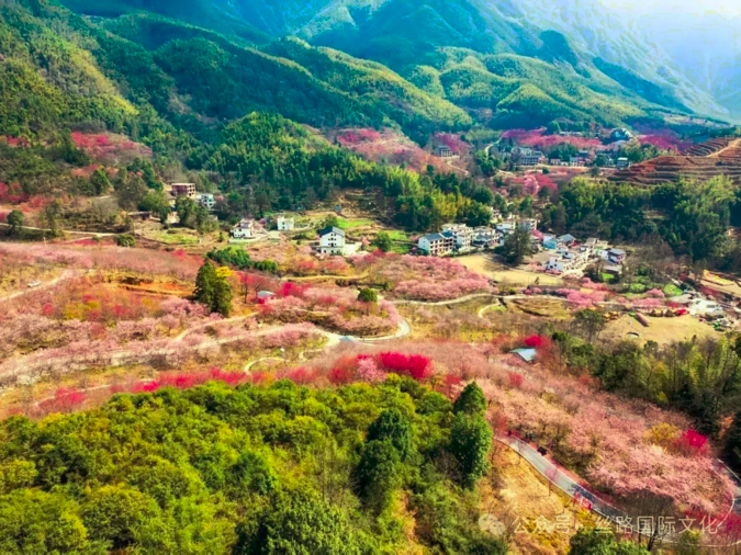 截屏2025-08-12 20.43.32.png
