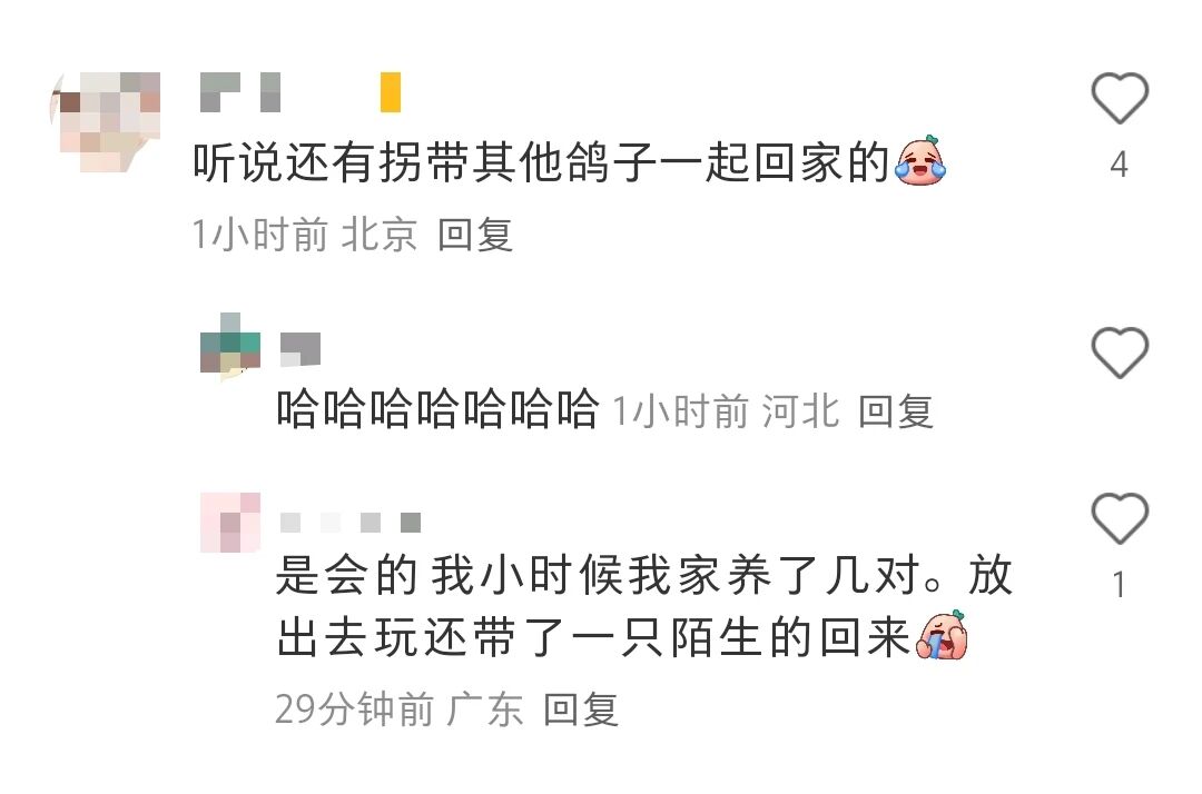 微信图片_20250905142152.jpg