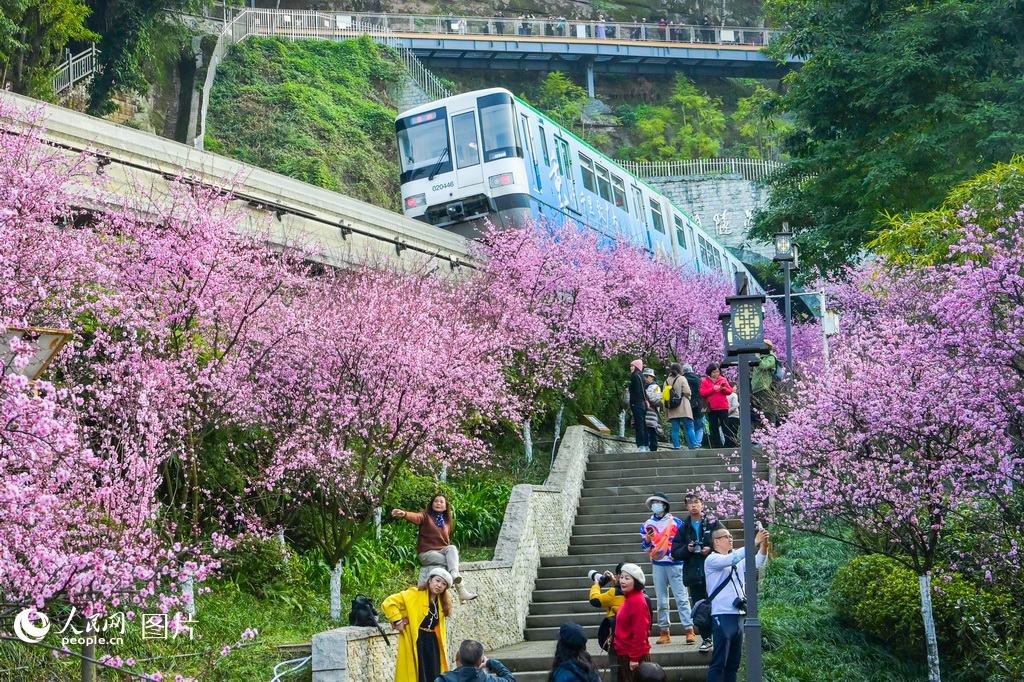 2023年的四季