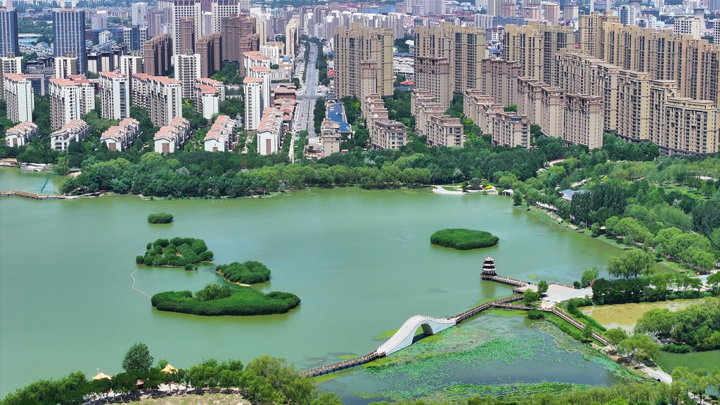 这是6月11日拍摄的宁夏银川市宝湖国家城市湿地公园（无人机照片）。