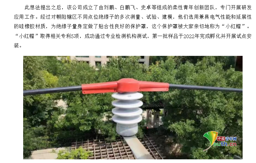 被亲切称为“小红帽”的绝缘子保护罩，硅橡胶材质制成（来源：网页截图）