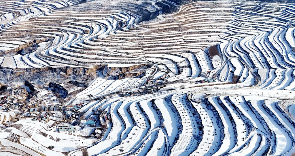 2024年12月13日，在甘肃省平凉市静宁县灵芝乡马圈山拍摄的雪后梯田景象。