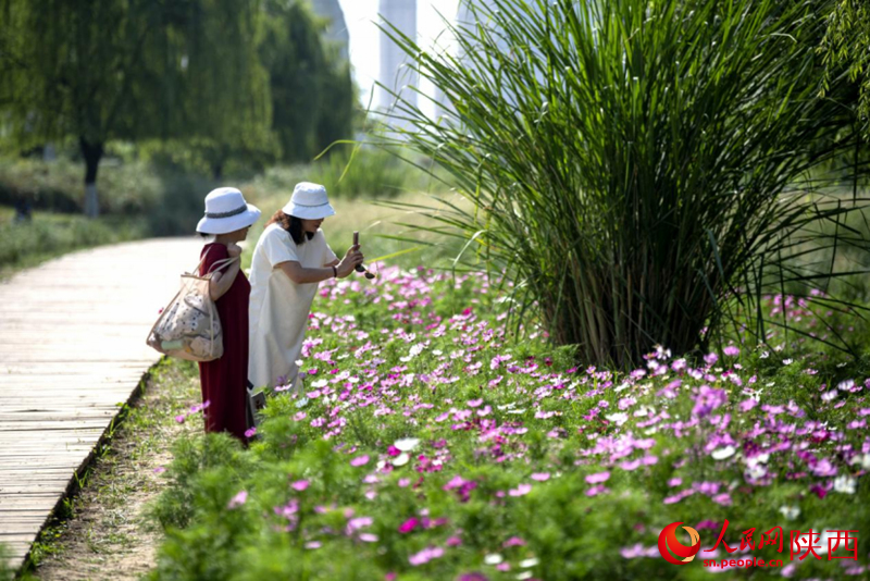 天汉湿地公园内，市民在休闲赏景。人民网记者 翁奇羽摄