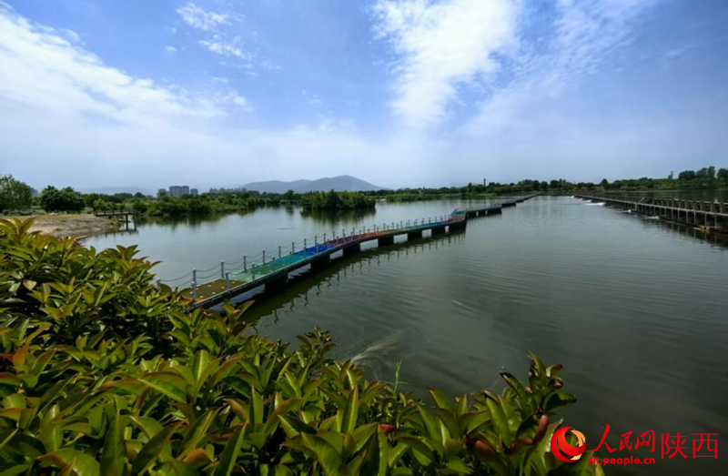 天汉湿地公园内，风景秀丽。人民网记者 邹星摄