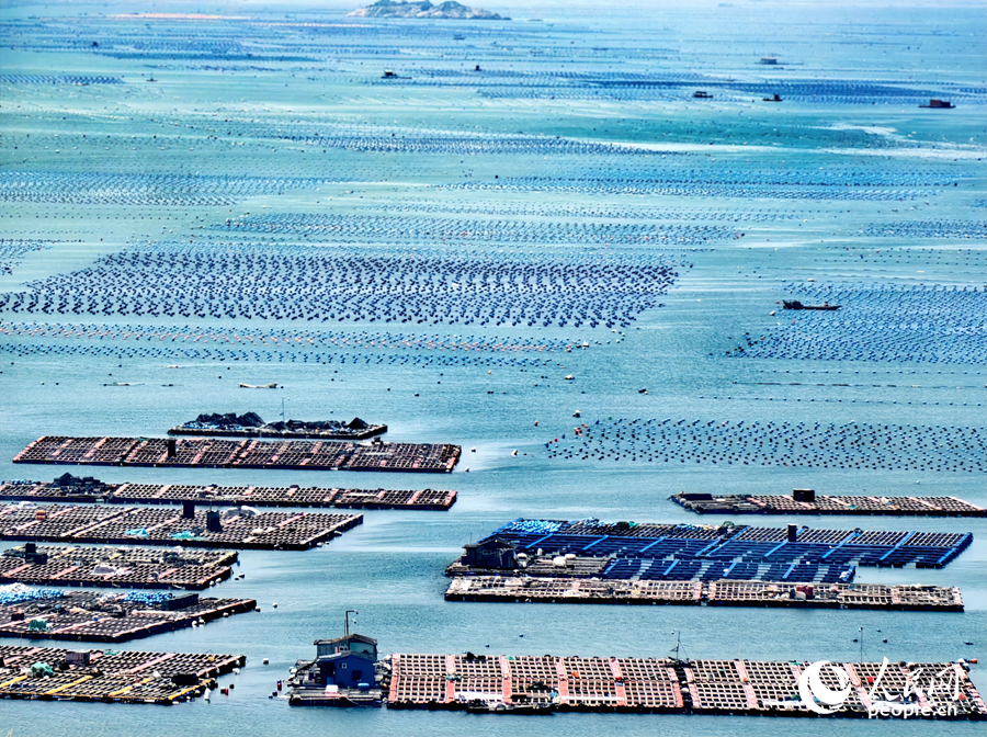 养殖渔排与排列整齐的浮球交织出一幅多彩的“海上牧场”画卷。人民网 叶青卿摄